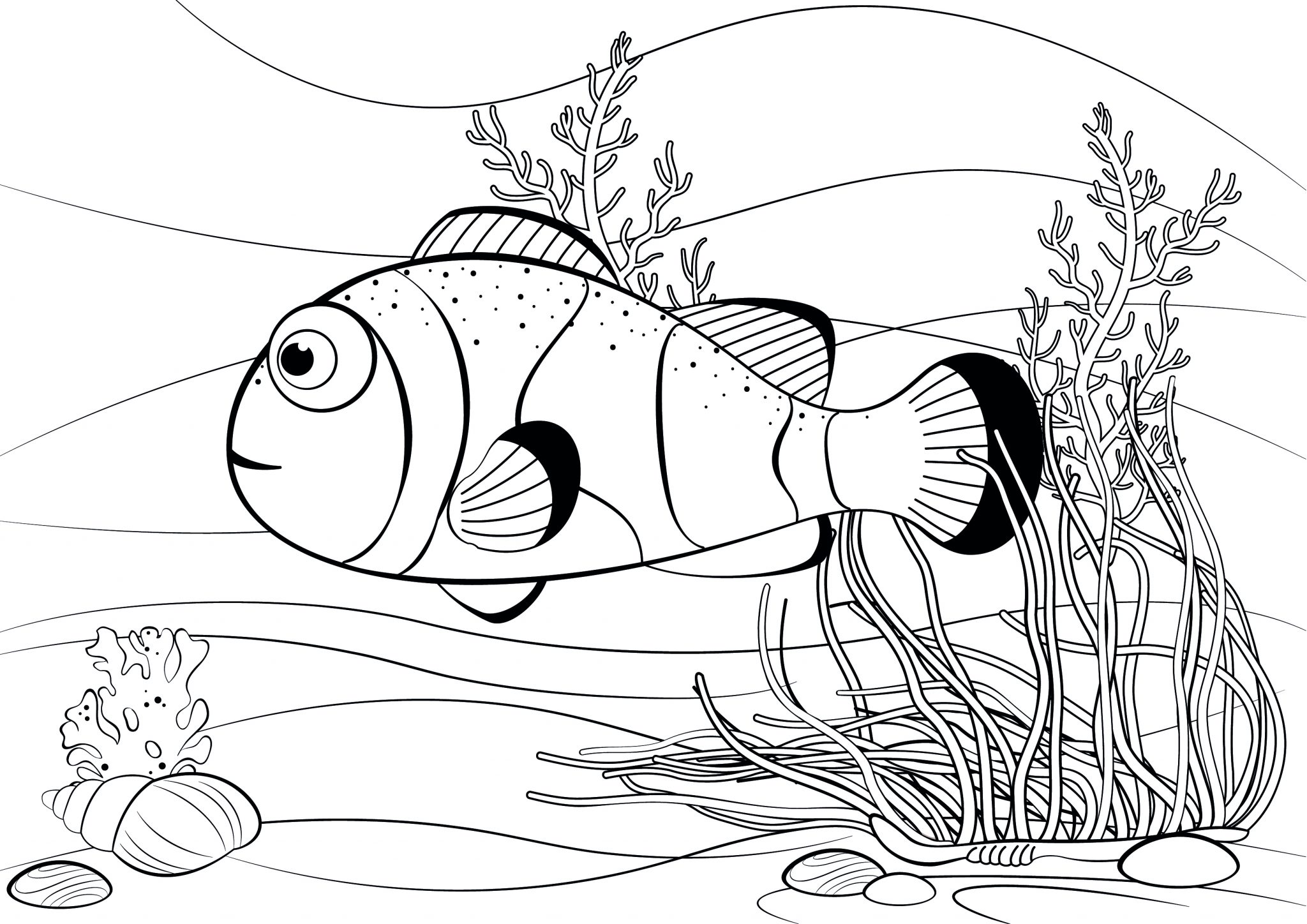 Clown Fish Colouring Page - Colouring Crafts