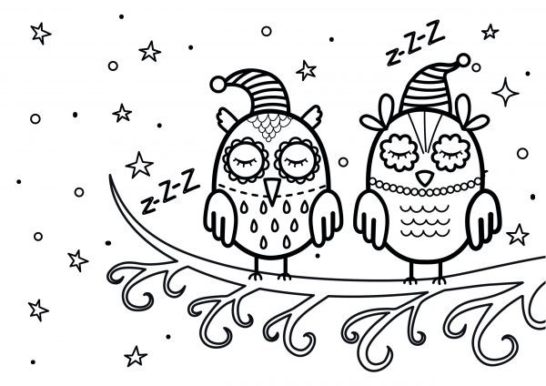 A drawing of 2 sleeping owls wearing nightcaps on a branch with stars in the background to print and colour for free.