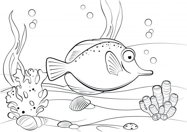 A drawing of a tropical fish at the bottom of the sea with bubbles and coral to print and colour for free.