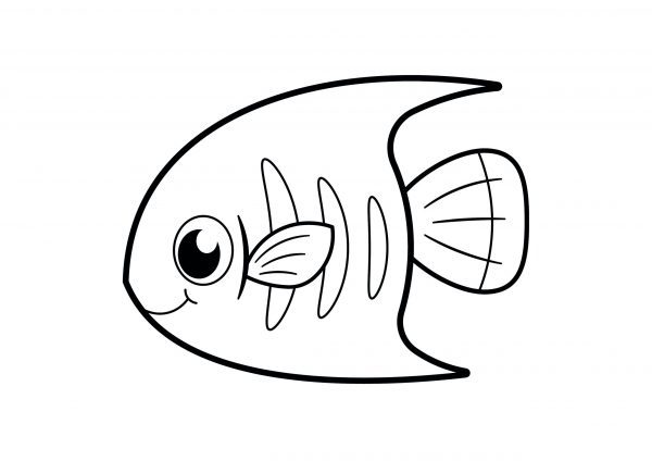 A basic drawing of a single fish with a smile to print and colour for free.