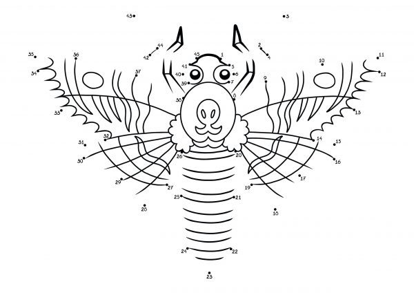 A death's head hawkmoth dot-to-dot image to print for free.