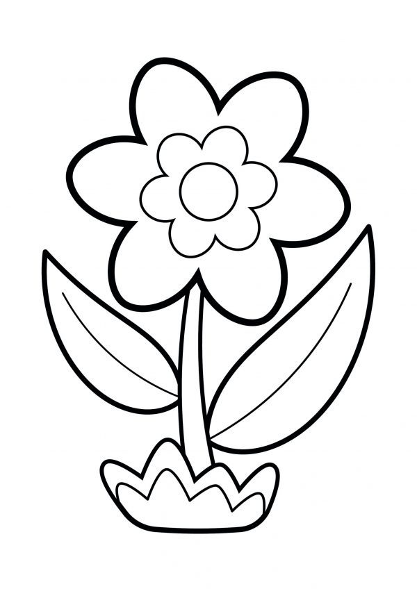 A basic drawing of a single flower with 2 leaves to print and colour for free.