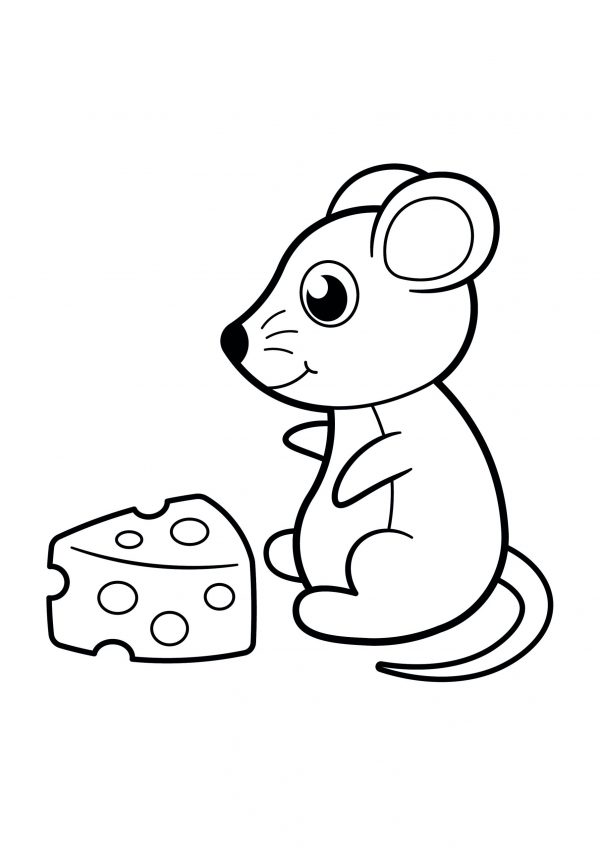 A basic drawing of a mouse with some cheese to print and colour for free.