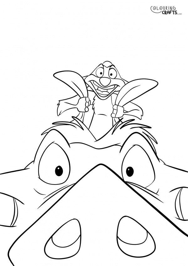 A drawing Of Timon and Pumba from The Lion King with a plain background to print and colour for free.